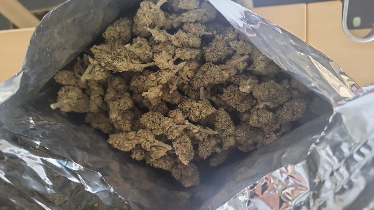 super high CBG hbtc401su picA