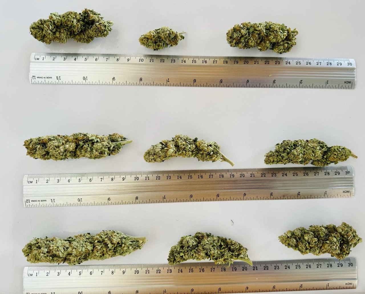super high CBG hbtc401su picC