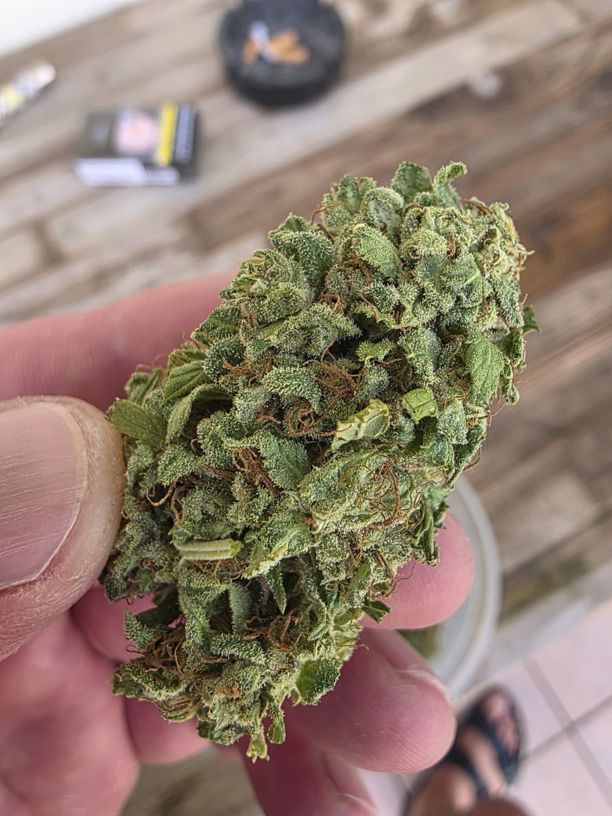cbg flower hbtc398bg pic