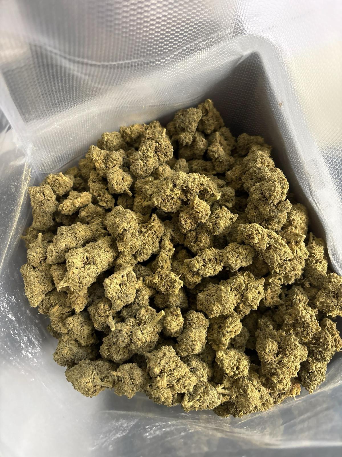 Harlequin PHC hbtc386ph pic